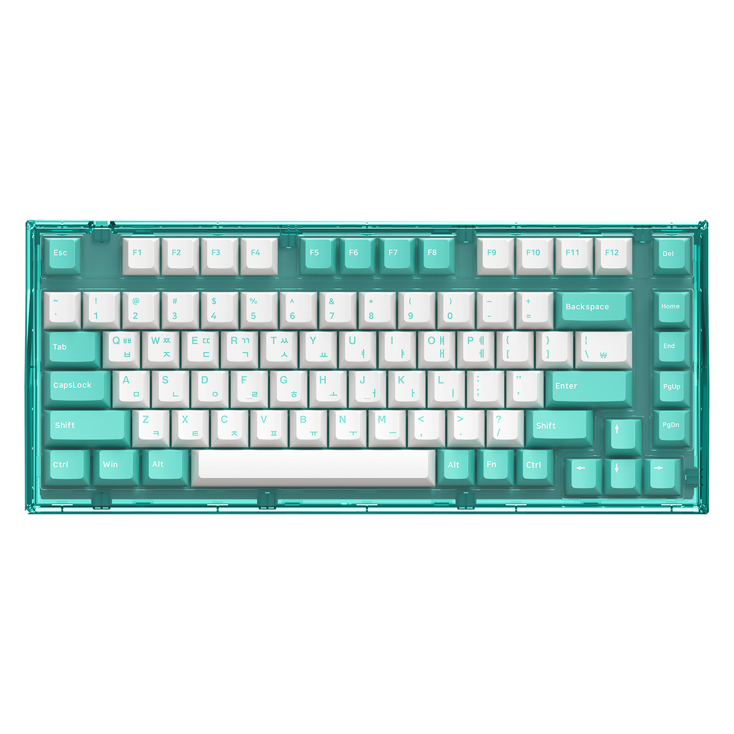 앱코 AG75W 가스켓 마운트 유무선 블루투스 기계식 쿨 민트 (적축)_이미지