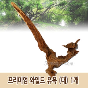 하나아쿠아 프리미엄 와일드 유목  대  1개/수초/어항/장식/가지유목/모스/열대어/구피/활착유목/천연유목_이미지