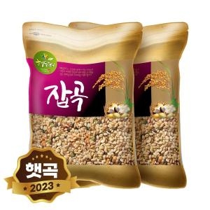 현대농산 렌틸콩 귀리혼합 20곡 10kg 5kgx2봉 2개