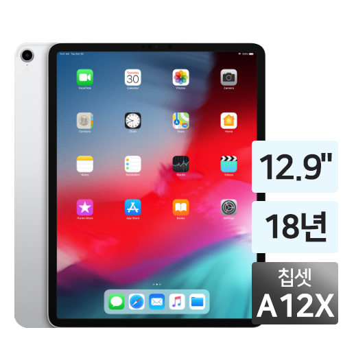 APPLE iPad Pro 12.9 3세대 (256GB)_이미지