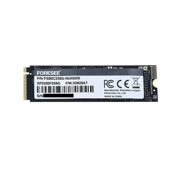 Longsys FORESEE XP2300F M.2 NVMe 벌크 (256GB)_이미지