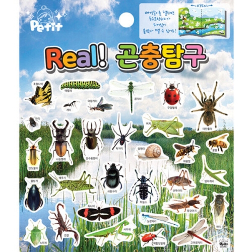 쁘띠팬시 DA5463 REAL곤충탐구 엄마표미술 홈스쿨링 만들기 집콕만들기 아동미술만들기 diy키트 미술놀이 놀이키트 미술재료 방과후_이미지