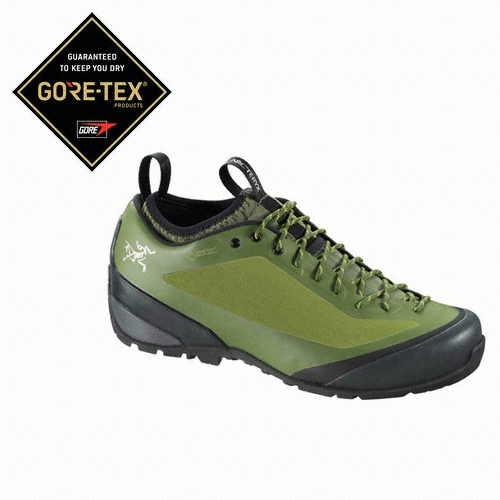 아크테릭스 아크럭스 FL GTX (AFGSM16685)_이미지