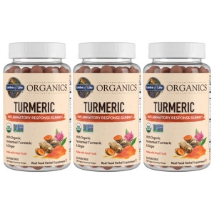 에이치브이엘 가든오브라이프 마이카인드 유기농 강황 120구미 (3개)