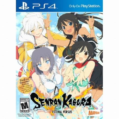 섬란 카구라 에스티발 버서스 엔들리스 섬머 에디션 PS4
