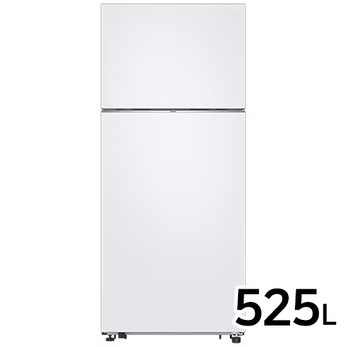 삼성전자 RT53DG7A1CWW (사업자전용)