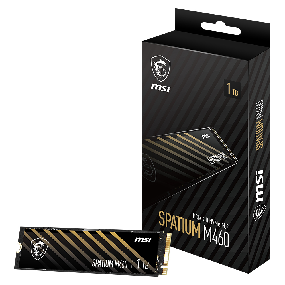 MSI SPATIUM M460 M.2 NVMe (1TB)_이미지