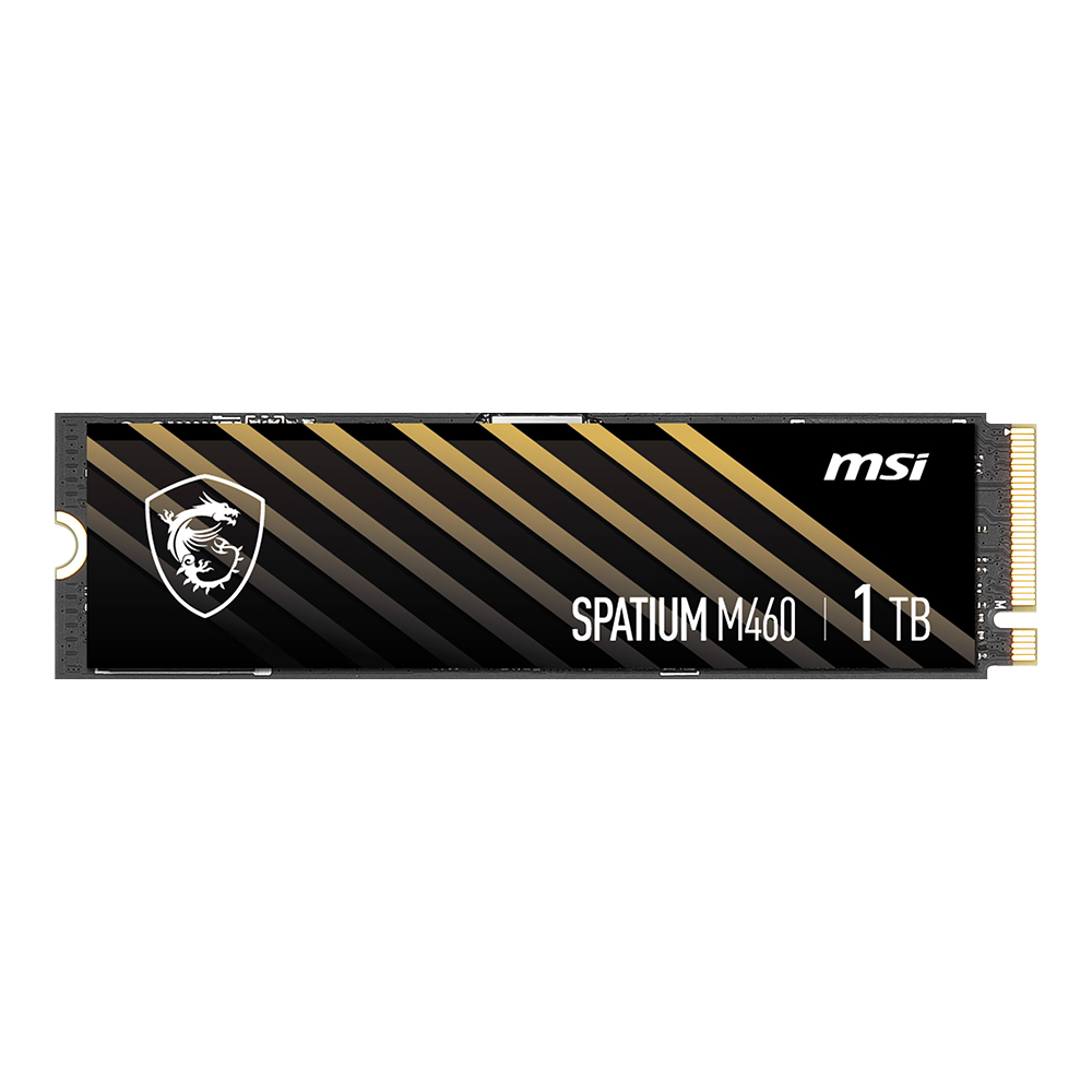 MSI SPATIUM M460 M.2 NVMe (1TB)_이미지