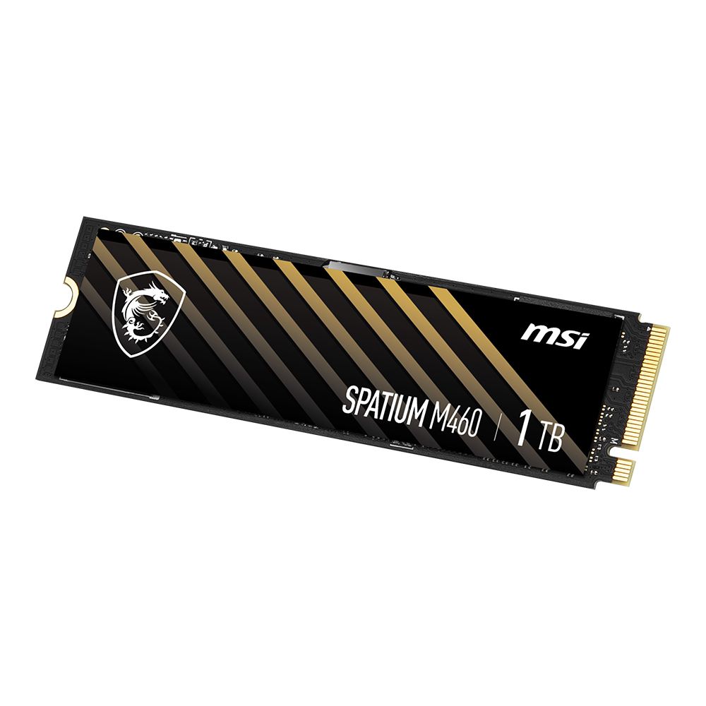 MSI SPATIUM M460 M.2 NVMe (1TB)_이미지