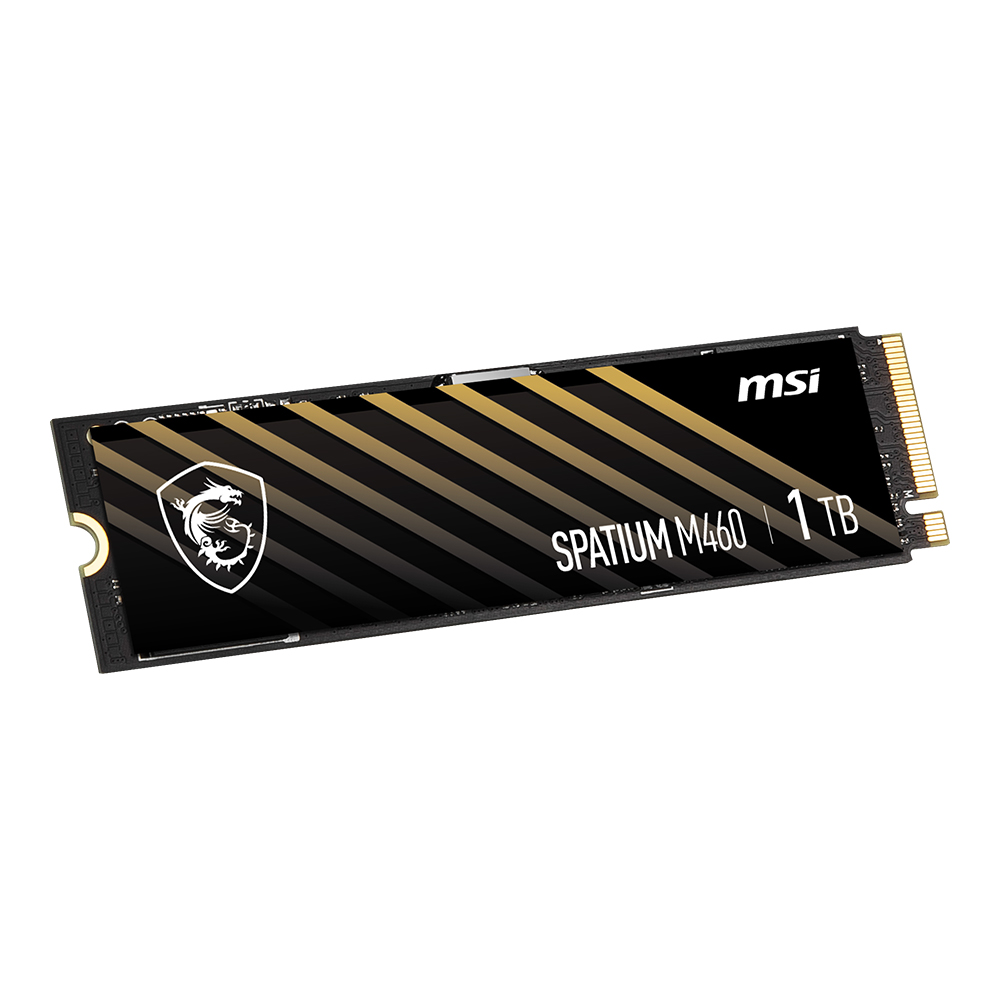 MSI SPATIUM M460 M.2 NVMe