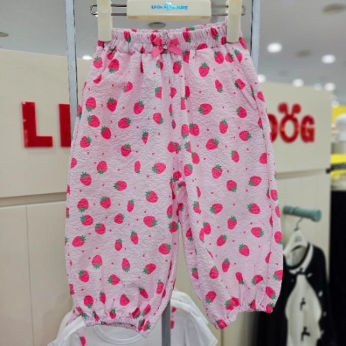 리틀밥독 sh06딸기통통PT딸기통통PTH262MWP22