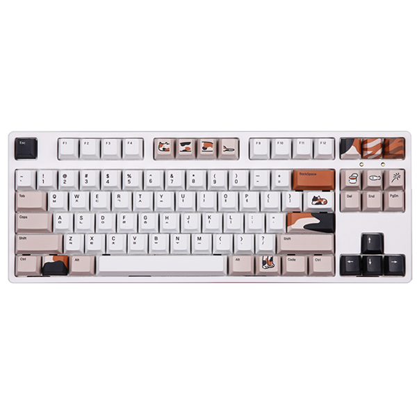 ��Ÿ ��Ÿ��� ���� PBT Űĸ