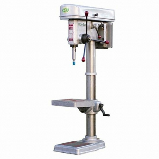WSD-19
