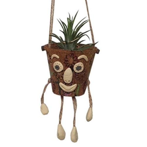 알티피아 교보문고 틸란드시아 화분형 10인용 WBFC59A