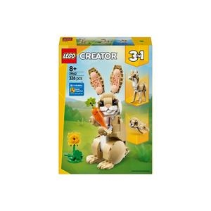 ���� �Ϳ��� �䳢 (31162)