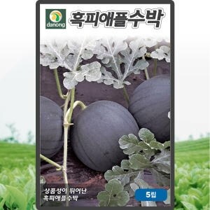 다농 애플수박 <b>씨앗</b> 수박 씨 종자 5립