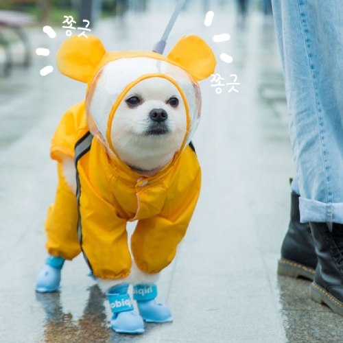 곰돌이 올인원 강아지 우비_이미지