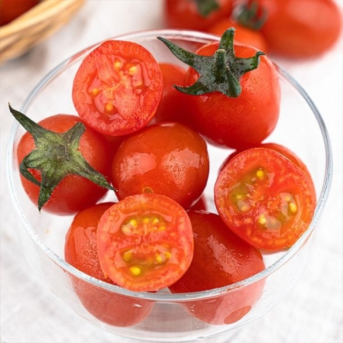 스테비아 대추방울토마토 애플마토 1kg 500gx2팩