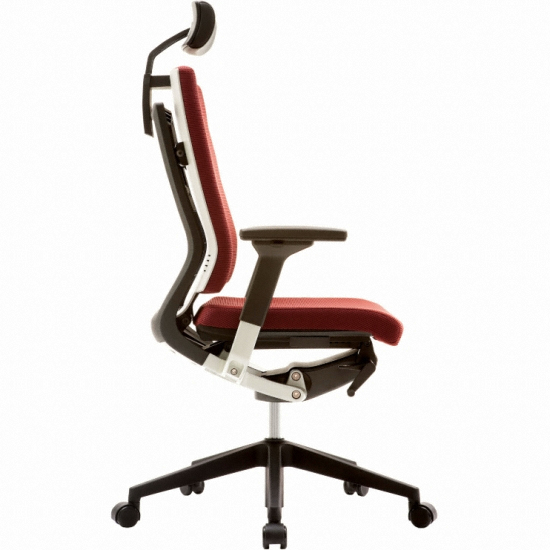 �õ��� T55 ������ �޽� ��ǻ�� å�� ���� HLDA