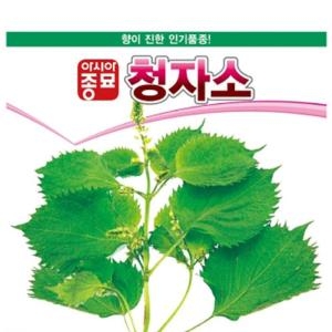자소씨앗종자 청자소-아오시소 3g