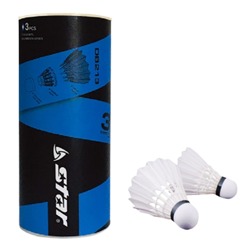 �ŽŻ�� ��Ÿ������ DB213