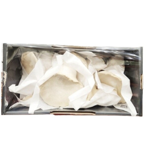  코스트코 무농약 황제버섯 900g 아이스박스포장