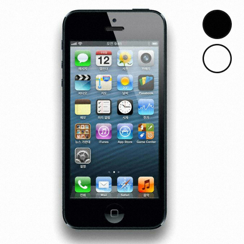 APPLE 아이폰5 16GB, SKT (신규가입, 단말할인(공통지원))