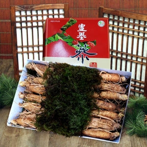 5년근 수삼 1채 750g / 쇼핑백 증정