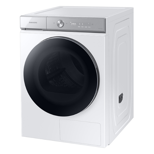 �Ｚ���� ����ũ �׶���AI DV19A9740CW