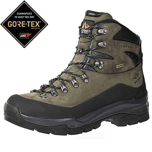 캠프라인 히페리온