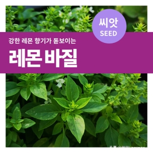 마이플랜트 레몬 바질 씨앗 200립_이미지