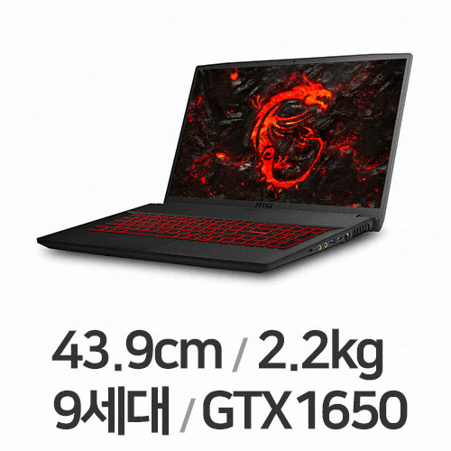 MSI GF시리즈 GF75 Thin 9SC-i5 (SSD 128GB)