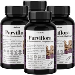 어스빌 파비플로라 흑생강 블랙진저 500mg 120캡슐 (4개)