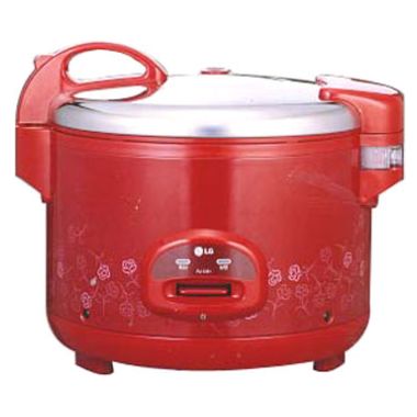 LG���� RJ-2381