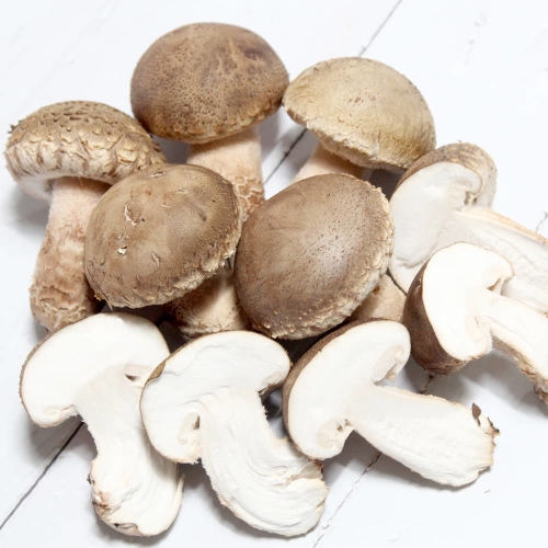 문경송화송화고고기버섯 못난이 500g