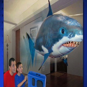 [�Ҹ�] (�Ϲݱ���)���� ������ ���