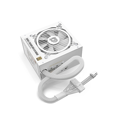 NEWZEN SKULL 750SM 모듈러 ATX3.0 80PLUS골드 화이트_이미지