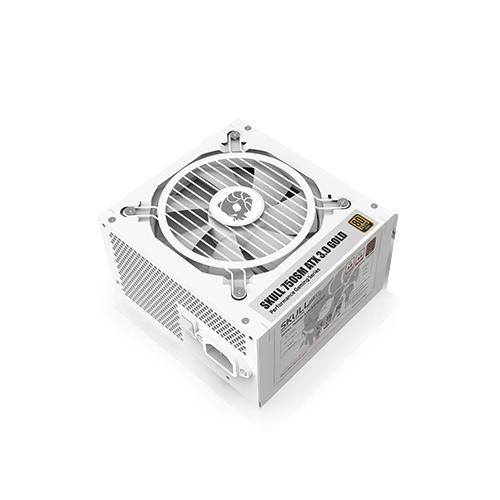 NEWZEN SKULL 750SM 모듈러 ATX3.0 80PLUS골드 화이트_이미지