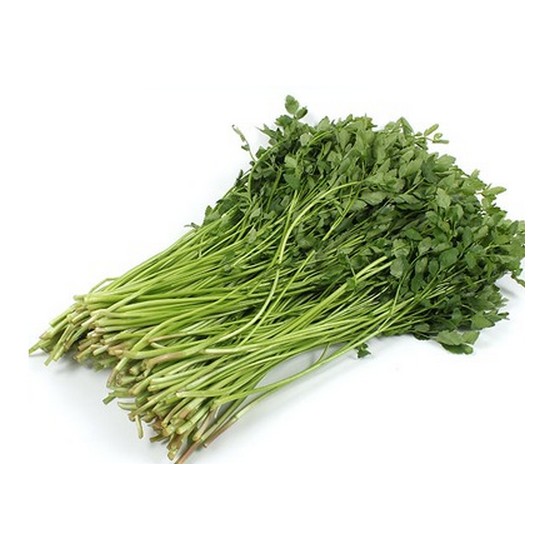 청도농원 청도 미나리 1kg (봉) (1개)_이미지