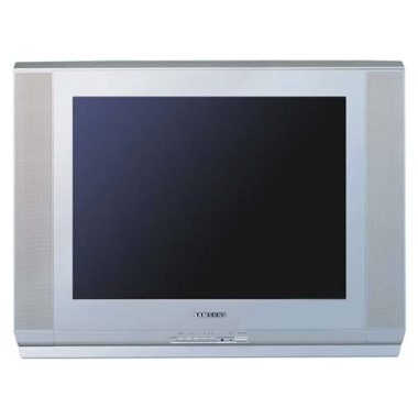 삼성전자 명품 CT-29K10G