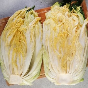 프레시로드 괴산 절임배추 20kg