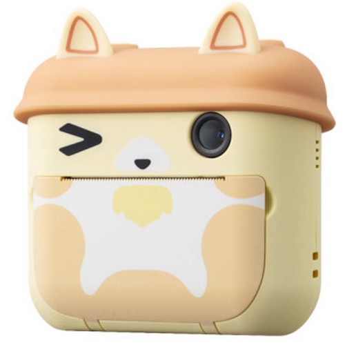 ��ǰ �� �̹���