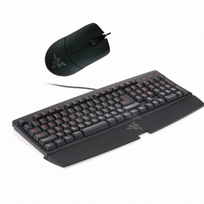 Razer Aurantia+Salmosa+티셔츠_이미지