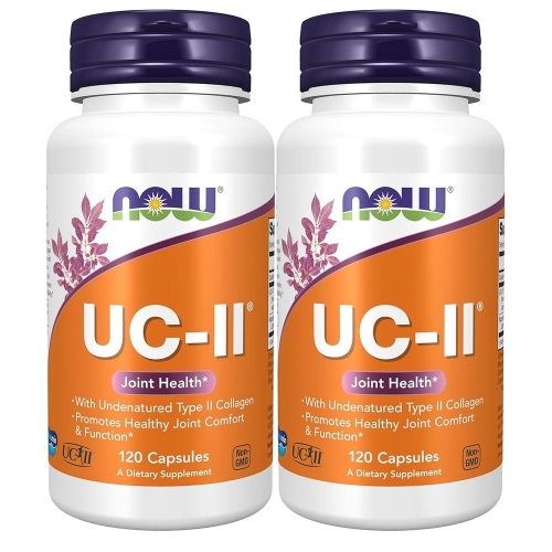 UC-II 비변성 2형 콜라겐 120캡슐