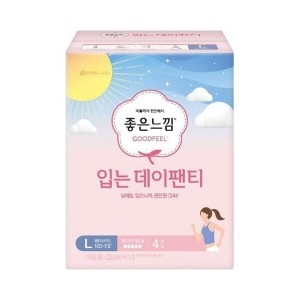 좋은느낌 입는 데이팬티 대형 4개