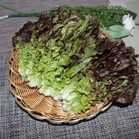 팜웨이 적상추 4kg (1개)