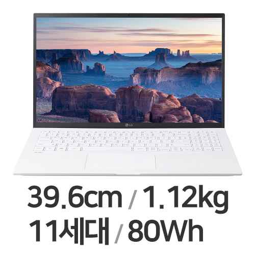 LG전자 2021 그램15 15ZD90P-GX56K WIN11 (SSD 1TB)