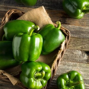 산정마을 싱싱한 피망 청피망 5kg_이미지