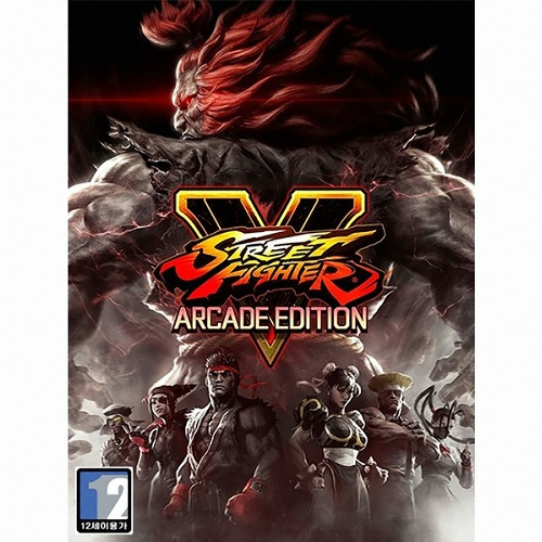 캡콤 스트리트 파이터 V 아케이드 에디션 PC (스팀 코드)