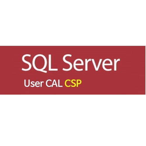 Microsoft SQL Server Standard 2019 교육용 (1 User CAL 라이선스)_이미지